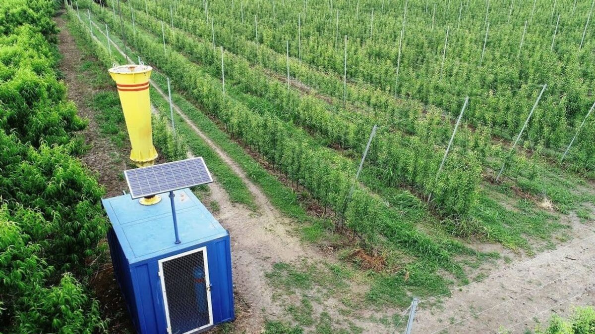 Meteoroloji Bölge Müdürü açıkladı: ‘Yağmur bombası’ ve ‘dolusavar’ çözüm mü? Meteoroloji Bölge Müdürü açıkladı: ‘Yağmur bombası’ ve ‘dolusavar’ çözüm mü?