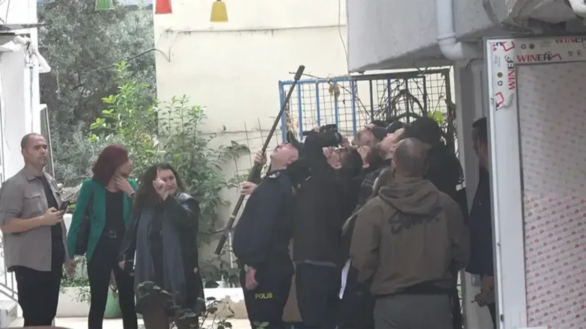 Soruşturma sürüyor: Güllü’nün ölümüyle ilgili yeni gelişme Soruşturma sürüyor: Güllü’nün ölümüyle ilgili yeni gelişme