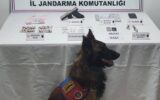 Afyonkarahisar’da ‘zehir’ operasyonu: 1 tutuklama!