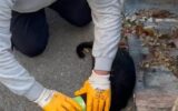 Başı konserveye sıkıştı… İmdadına temizlik personeli yetişti