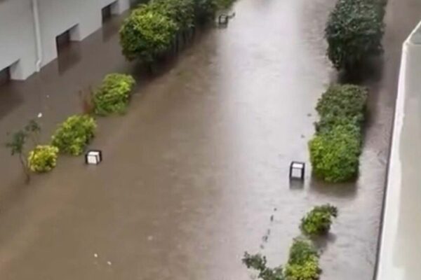 Muğla’yı sağanak vurdu: Cadde ve sokaklar gö... Muğla’yı sağanak vurdu: Cadde ve sokaklar gö...