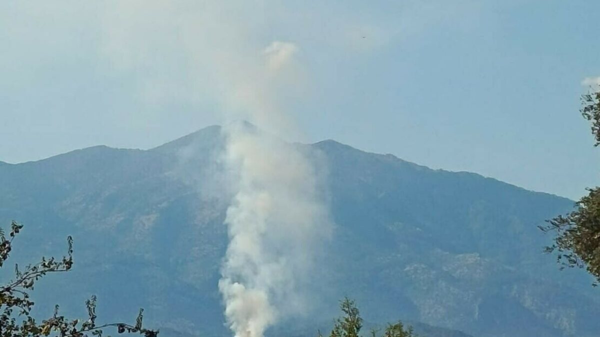 Muğla’da orman yangını Muğla’da orman yangını