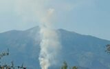 Muğla’da orman yangını