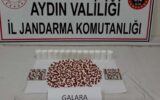Aydın’da zehir otomobiline operasyon: 17 yaşındaki şüpheli yakalandı