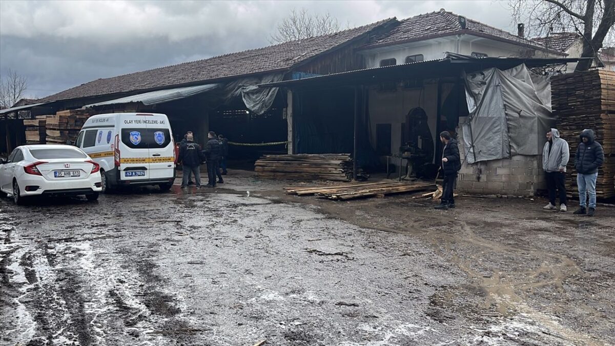 İşçinin kahreden sonu: Tomruk biçme makinesinin üstüne düştü!