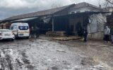 İşçinin kahreden sonu: Tomruk biçme makinesinin üstüne düştü!