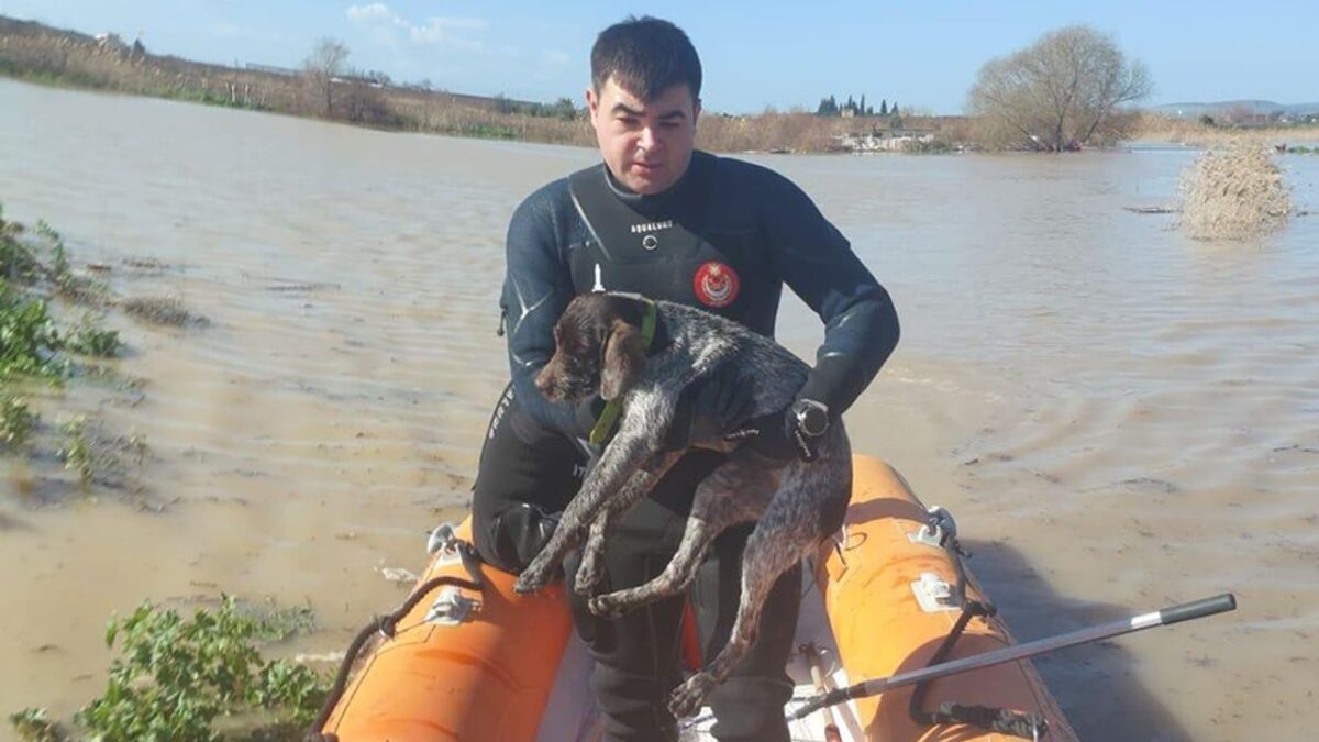 Büyükşehir’den hayvanlara yardım eli Büyükşehir’den hayvanlara yardım eli