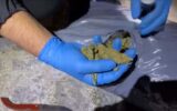 Uyuşturucu operasyonu: 10 şüpheli tutuklandı