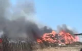 Çatalca’da otluk alanda yangın Çatalca’da otluk alanda yangın
