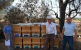 Yangında kovanları zarar gören arıcıya Büyükşehir’den destek Yangında kovanları zarar gören arıcıya Büyükşehir’den destek