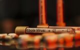 Ebola alarmı: Vaka sayısı 7 bini aştı